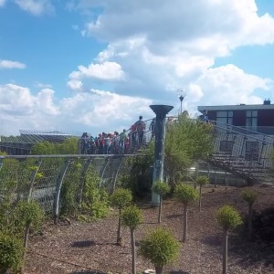 W ogrodach Biblioteki UW