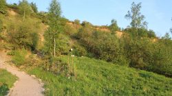 Stanowisko naszych obserwacji