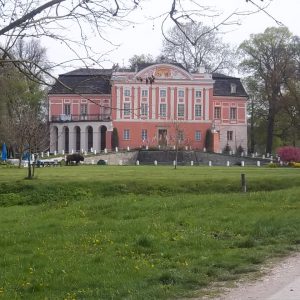 Kurozwęki