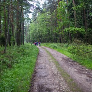 Wędrujemy po Puszczy Dulowskiej