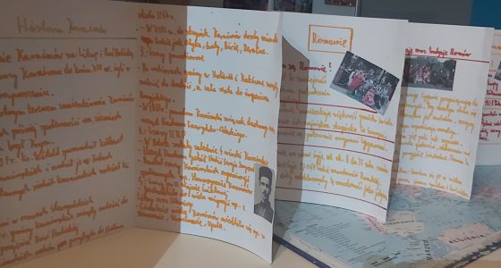 Mniejszości etniczne - projekt ósmoklasistów
