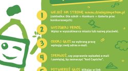 "Działaj z imPETem!" - czas na głosowanie